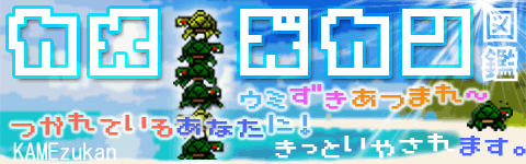 カメ図鑑 - 